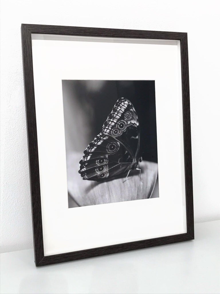 Self Portrait as a Butterfly No 1, Photography, Black and White, Signed, Framed  For Sale 1