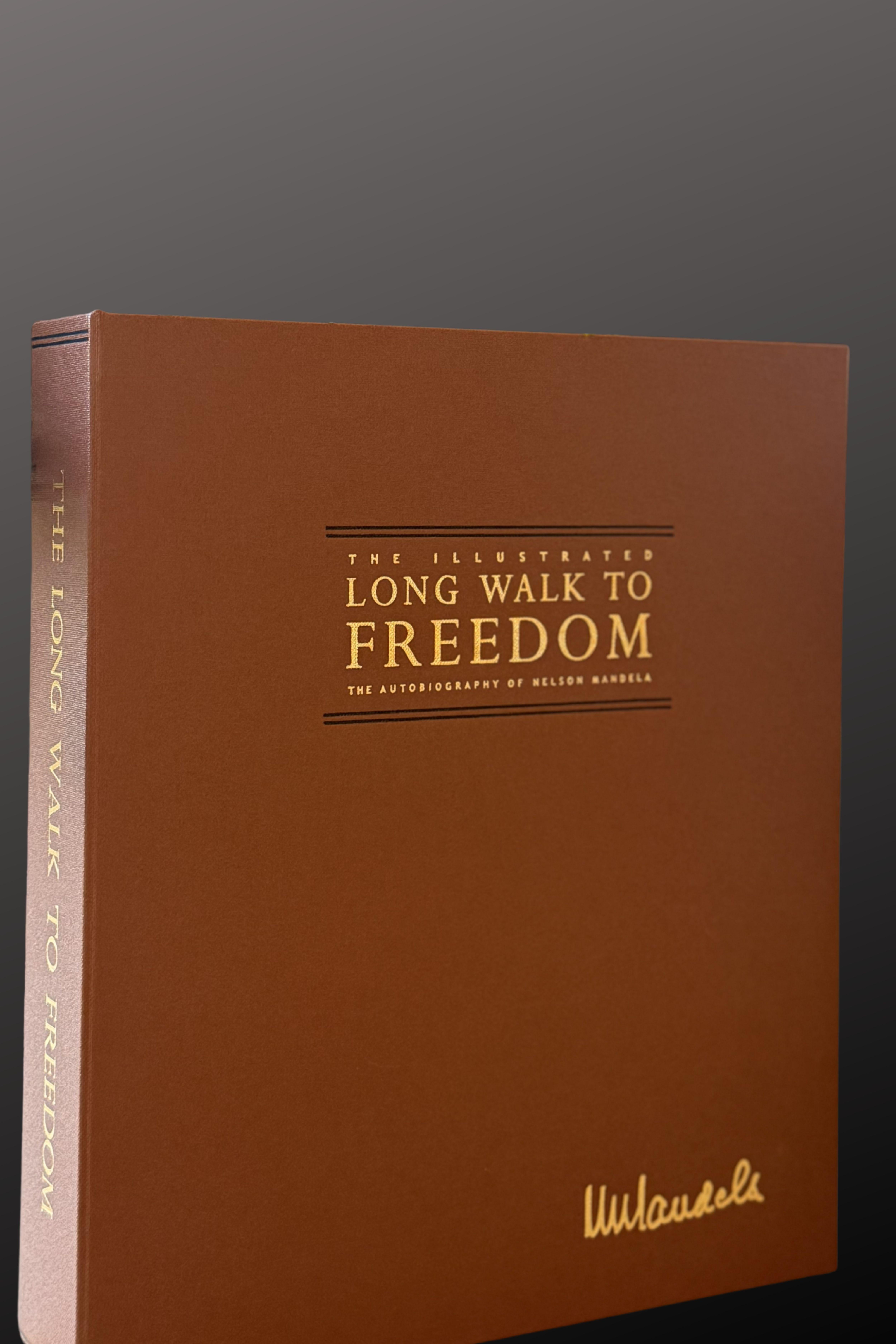 La larga marcha hacia la libertad ilustrada  30 Aniversario de la Presidencia - Mixed Media Art de Nelson Mandela