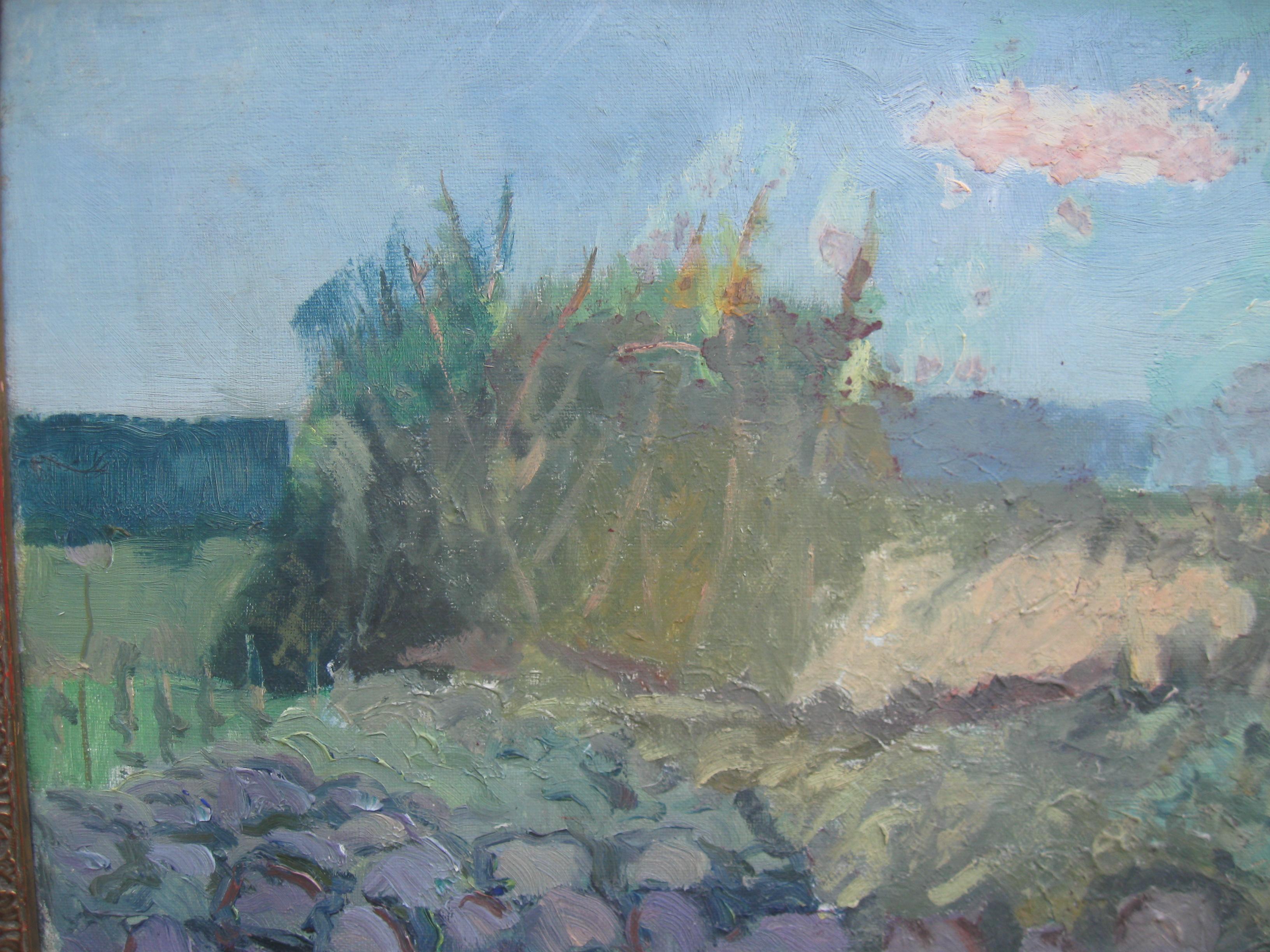 'The Patch' St Ives School Impressionist oil on canvas circa 1920's - Gray Landscape Painting by Mary McCrossan
