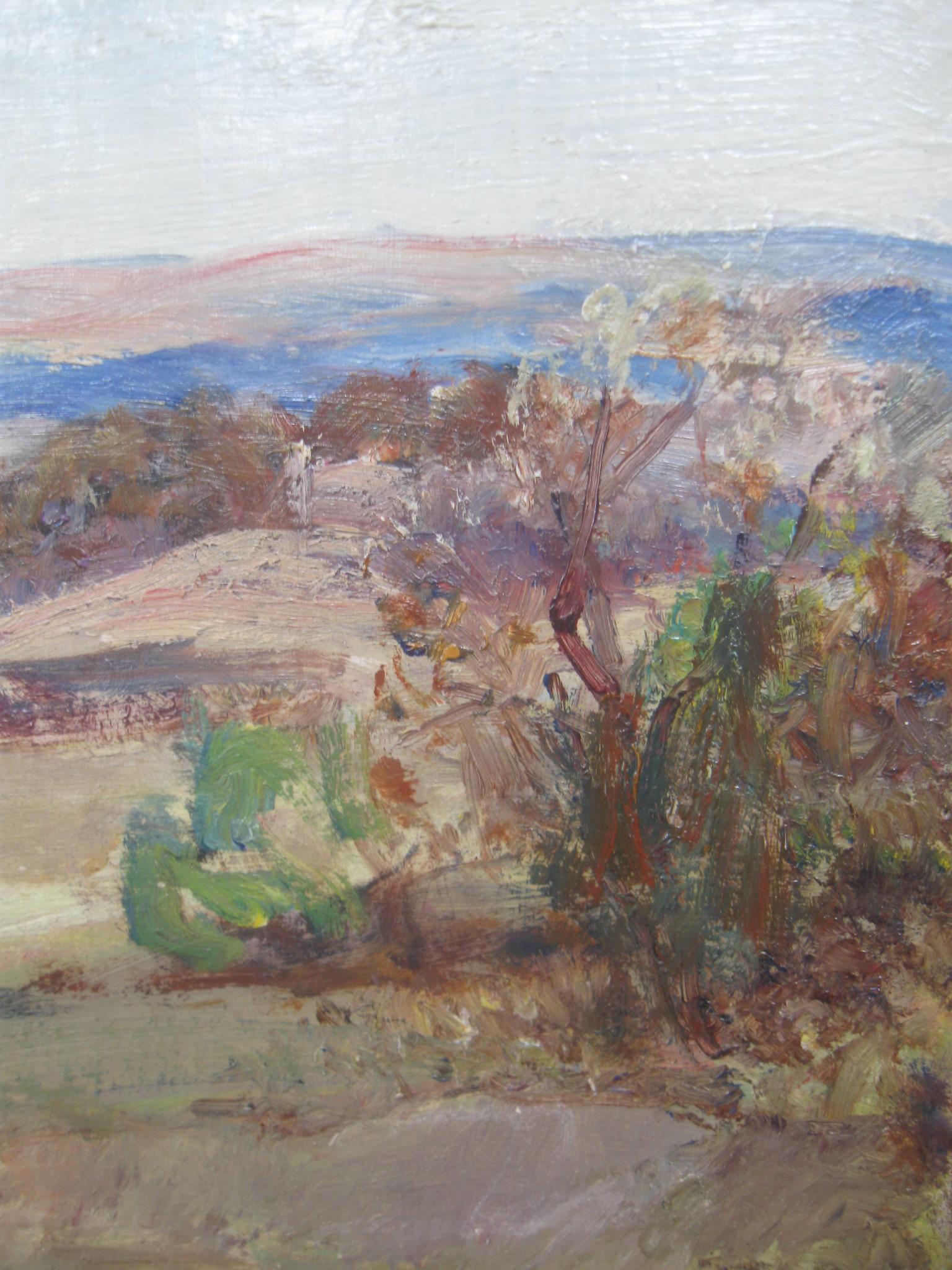 Open Landscape Plein Air Impressionist oil on canvas circa 1910 - Gray Landscape Painting by Walter McAdam