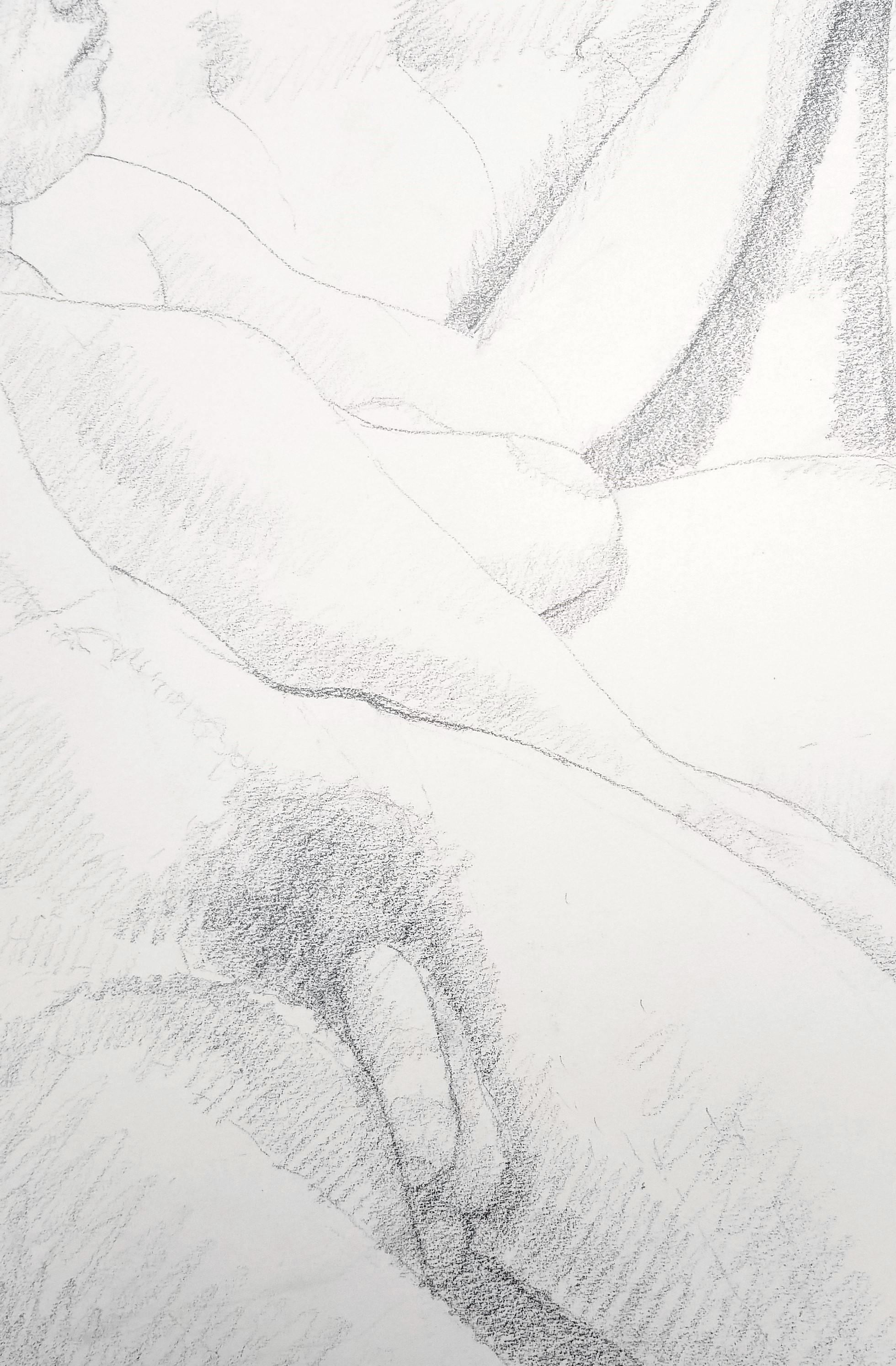 Male and Female Nudes on a Sofa /// Philip Pearlstein Pencil Drawing Figurative For Sale 11