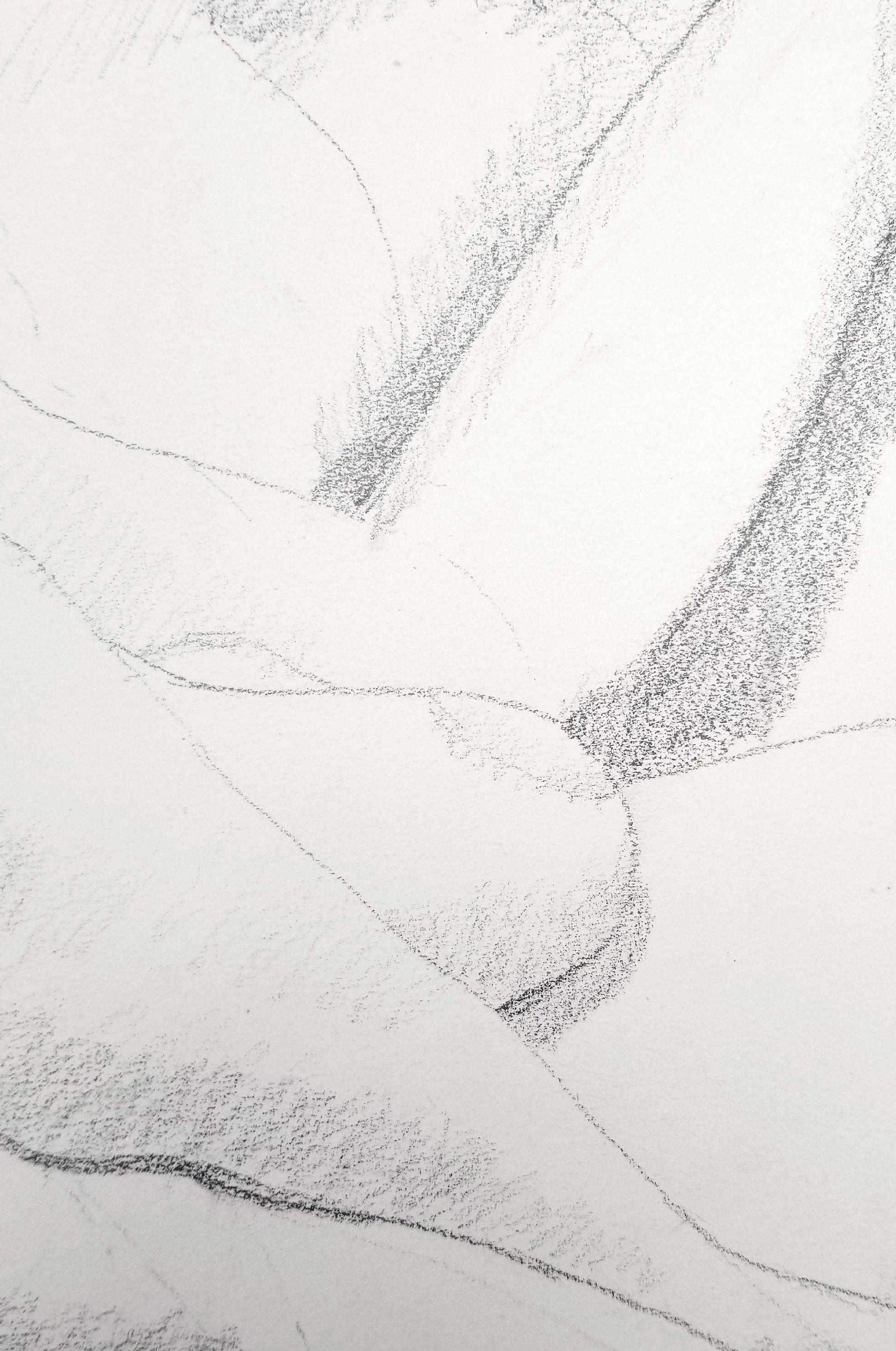 Male and Female Nudes on a Sofa /// Philip Pearlstein Pencil Drawing Figurative For Sale 12
