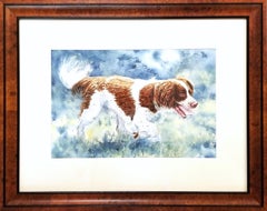 Eager Spaniel /// Contemporary British Female Artist Watercolor Dog Animal Pet