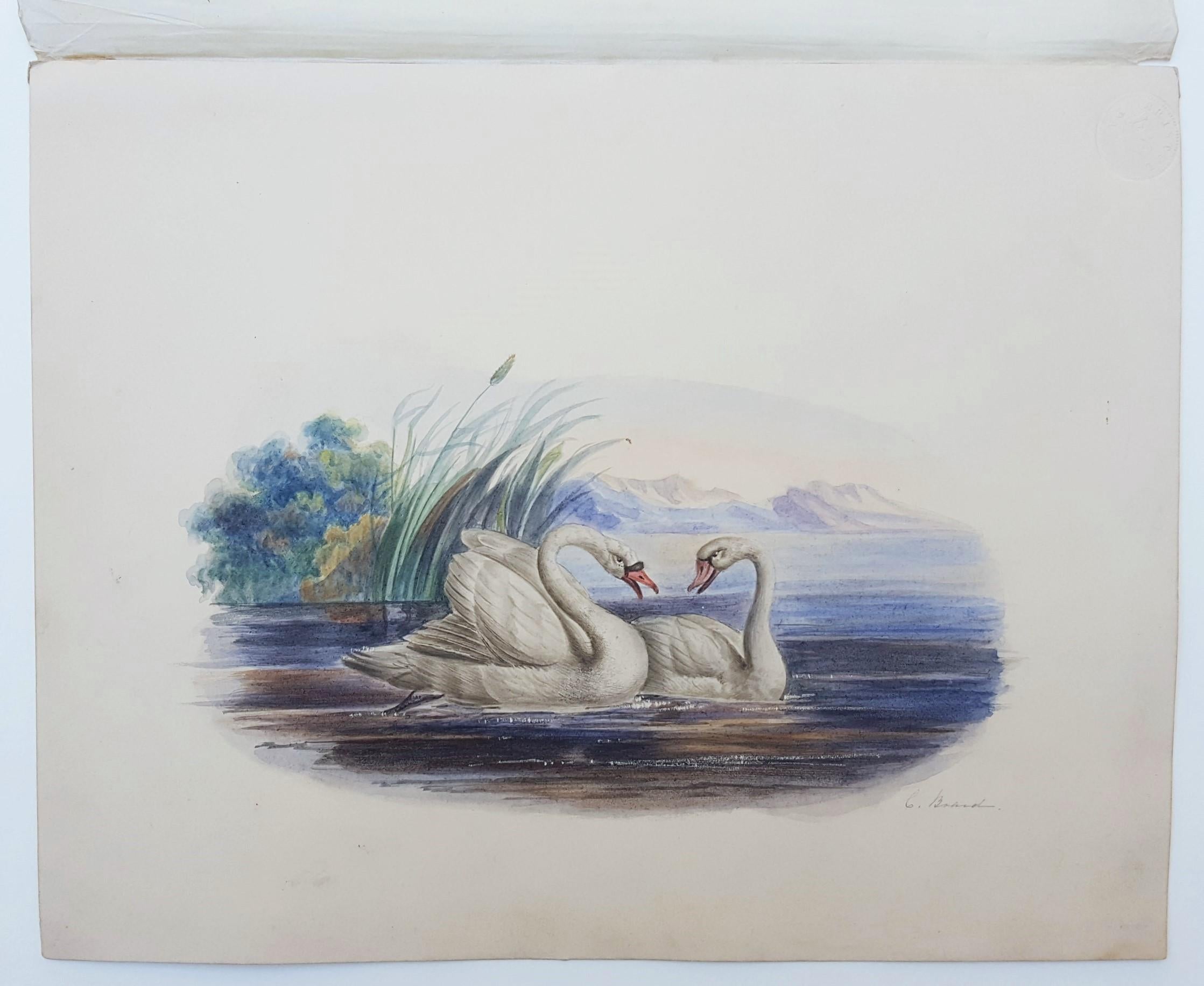 Artista: Catherine Board (inglese, attiva all'inizio del XIX secolo)
Titolo: 