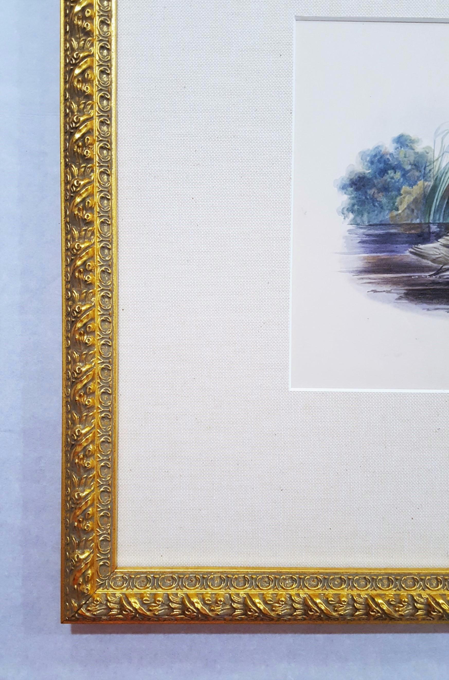 Cigni /// Antico Artista Femminile Uccello Ornitologia Animale Paesaggio Acquerello Arte in vendita 3