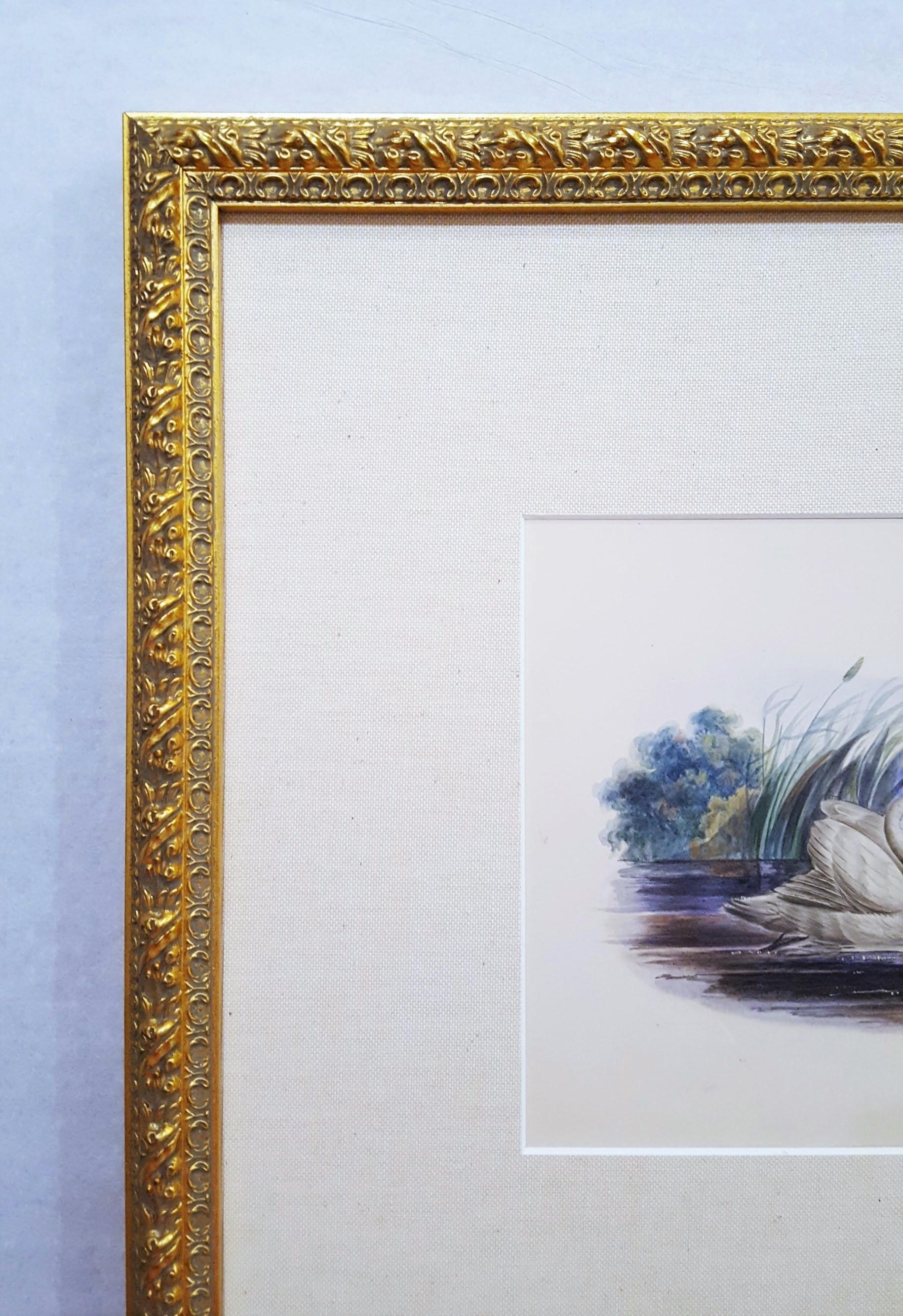 Cigni /// Antico Artista Femminile Uccello Ornitologia Animale Paesaggio Acquerello Arte in vendita 4