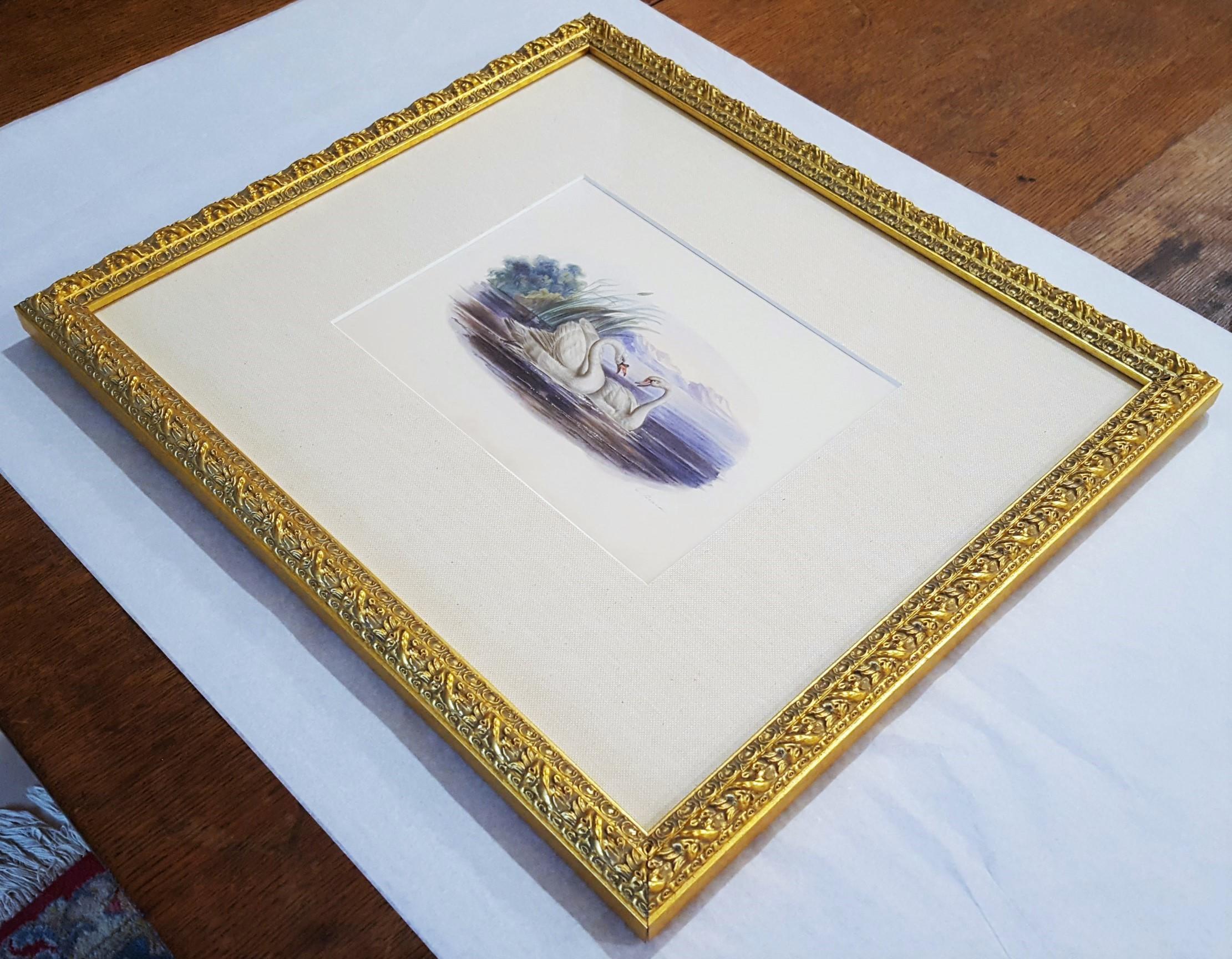 Cigni /// Antico Artista Femminile Uccello Ornitologia Animale Paesaggio Acquerello Arte in vendita 14