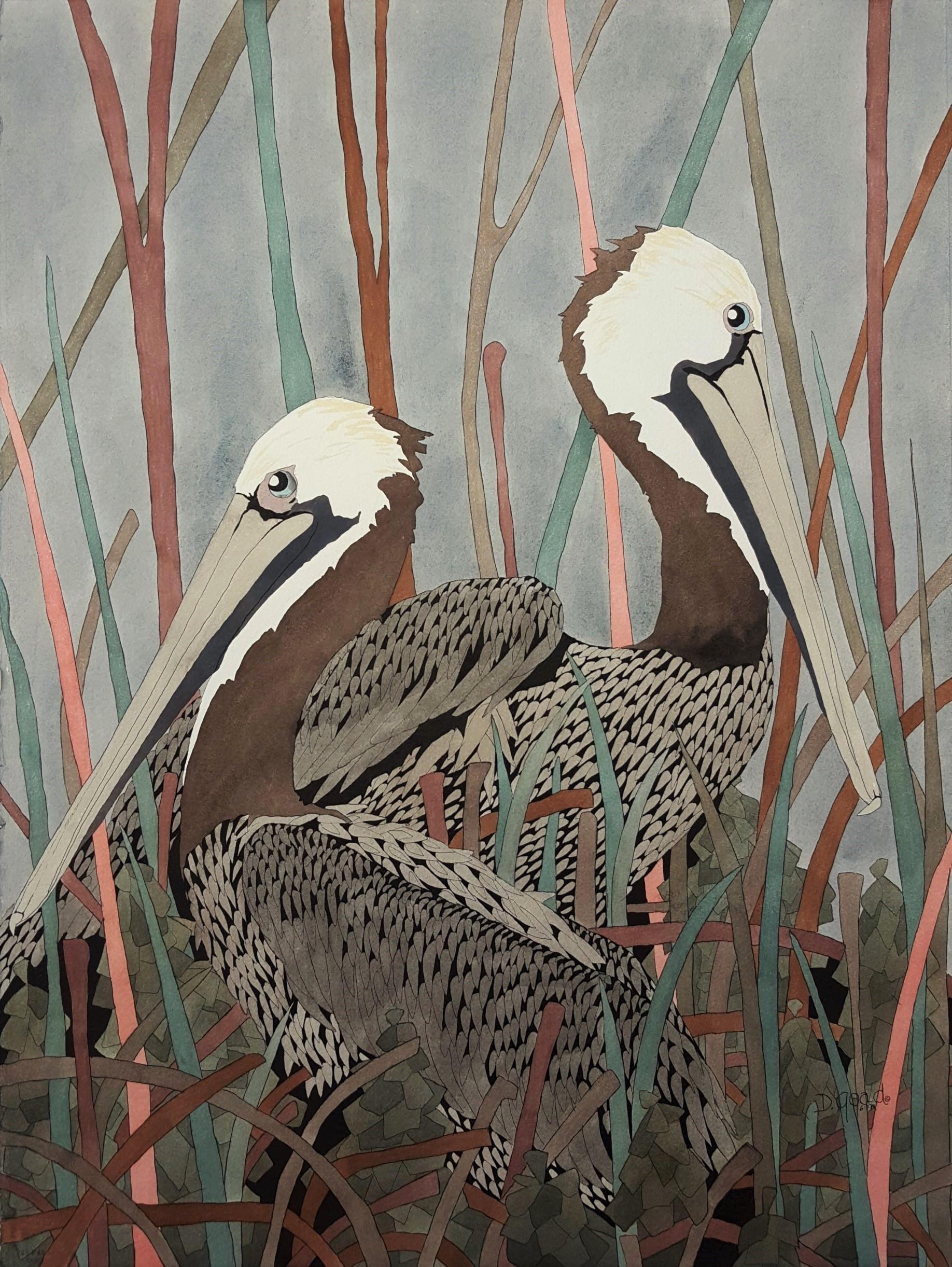 Dan Goad Animal Art - Brown Pelicans