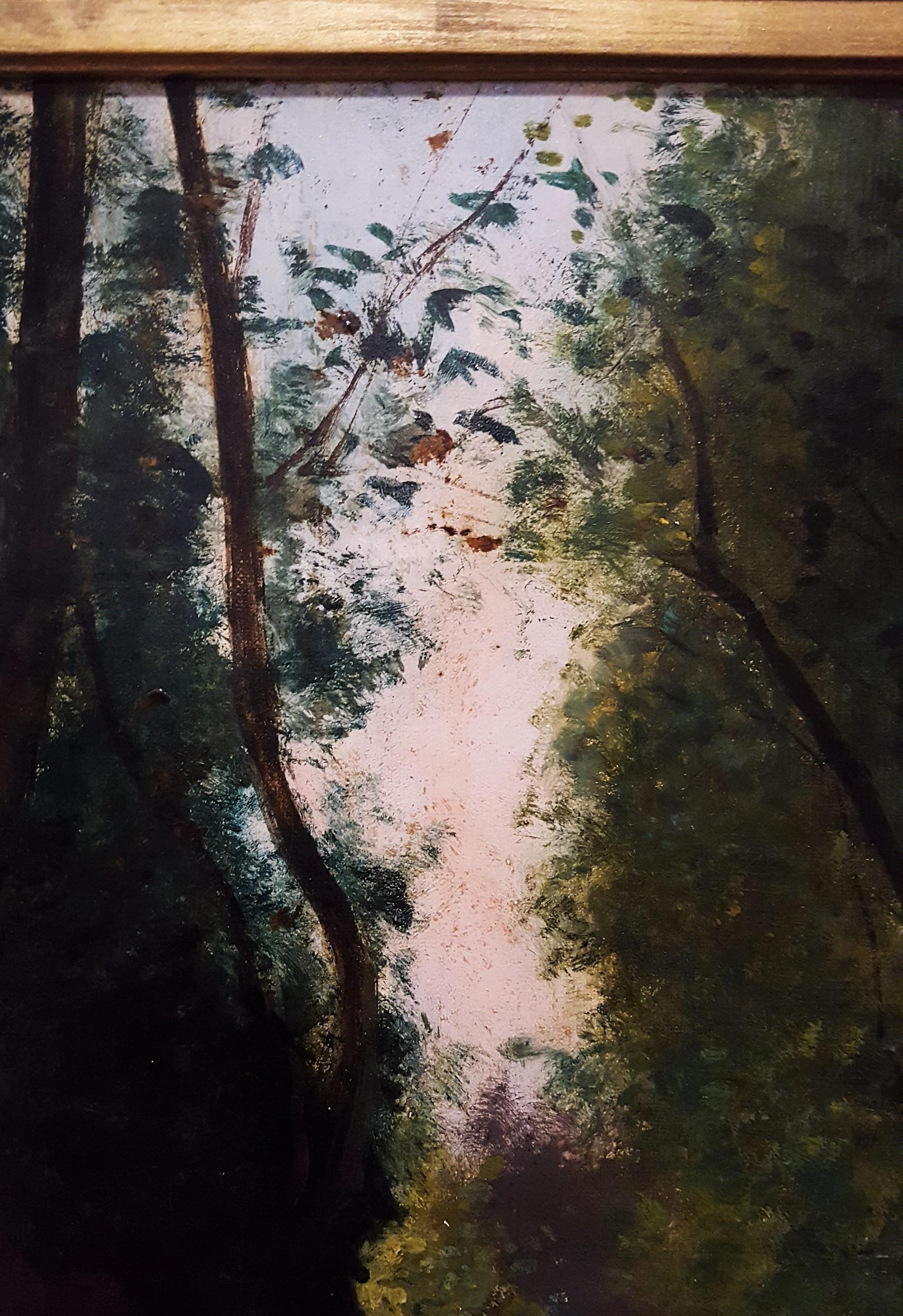 Woman in Forest Landscape 8