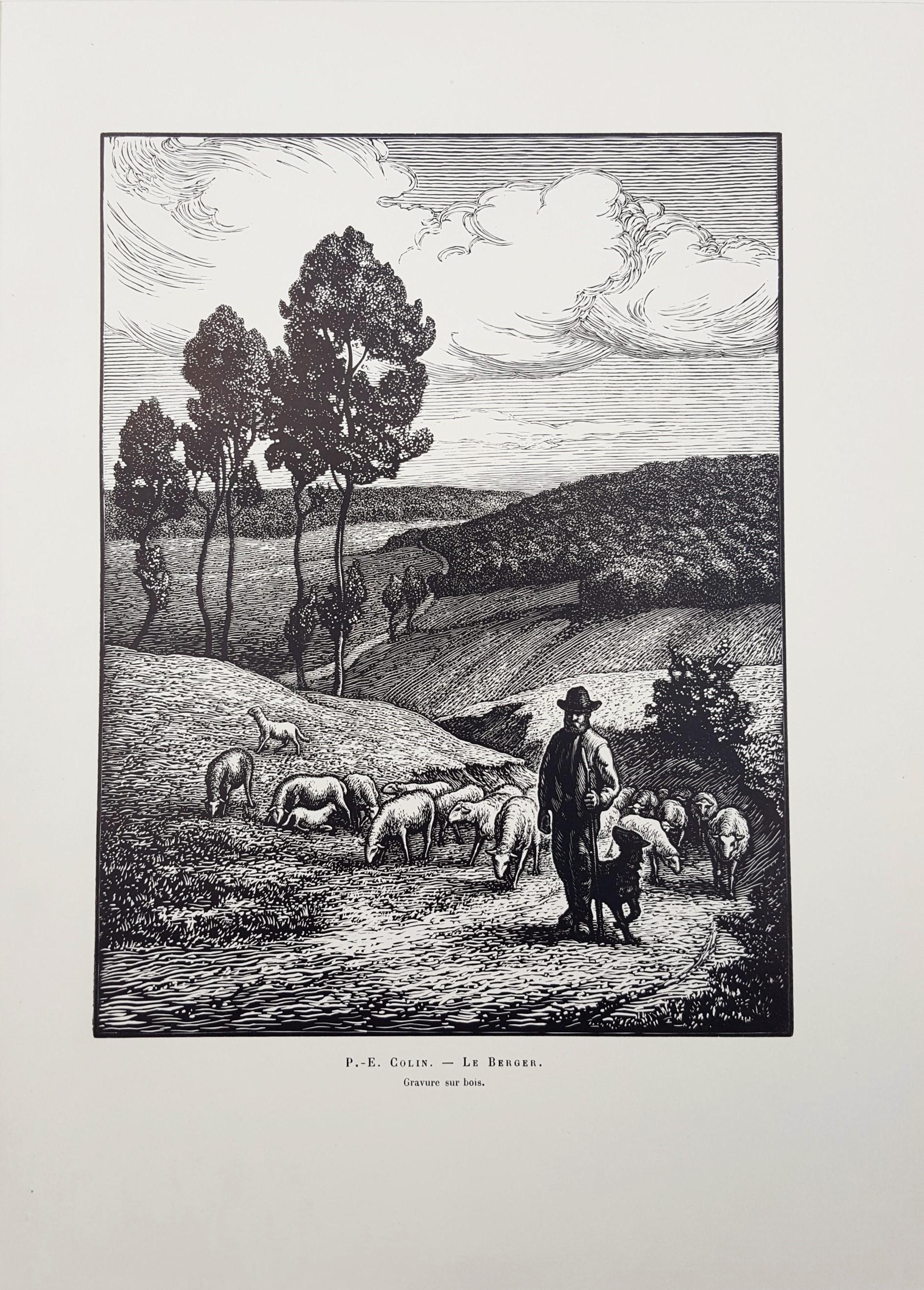 Le Berger (The Shepherd) /// French Impressionist Woodcut Landscape Sheep Farm - Print by  Paul-Émile Colin