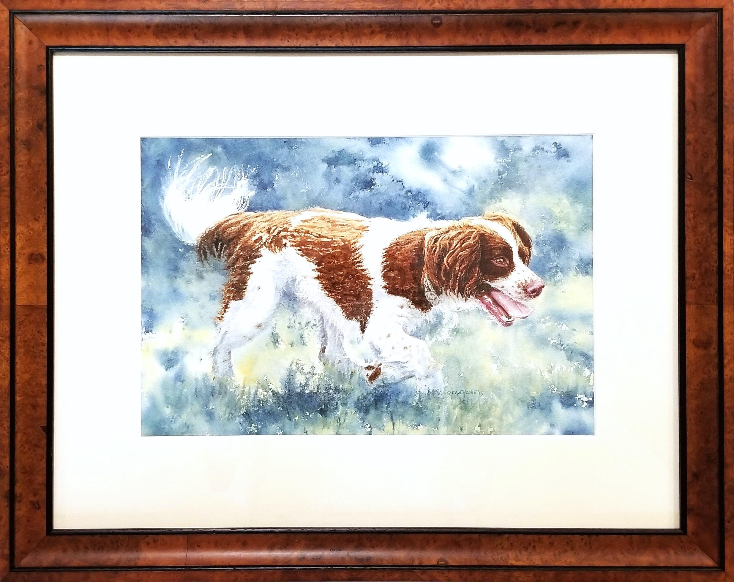 Épagneul enjoué /// Femme artiste britannique contemporaine Aquarelle Chien Animal de compagnie - Art de Gillie Cawthorne