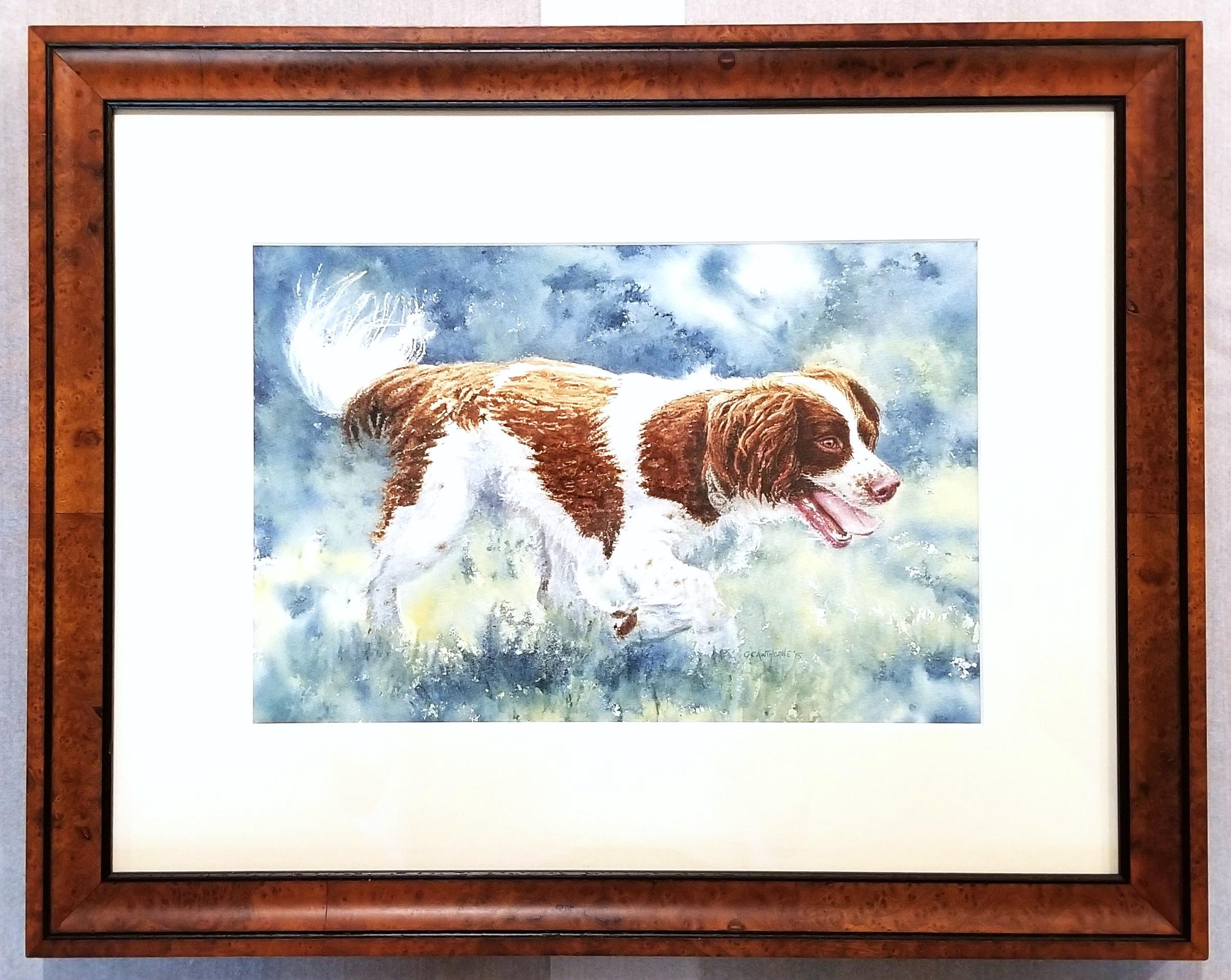 Épagneul enjoué /// Femme artiste britannique contemporaine Aquarelle Chien Animal de compagnie - Contemporain Art par Gillie Cawthorne