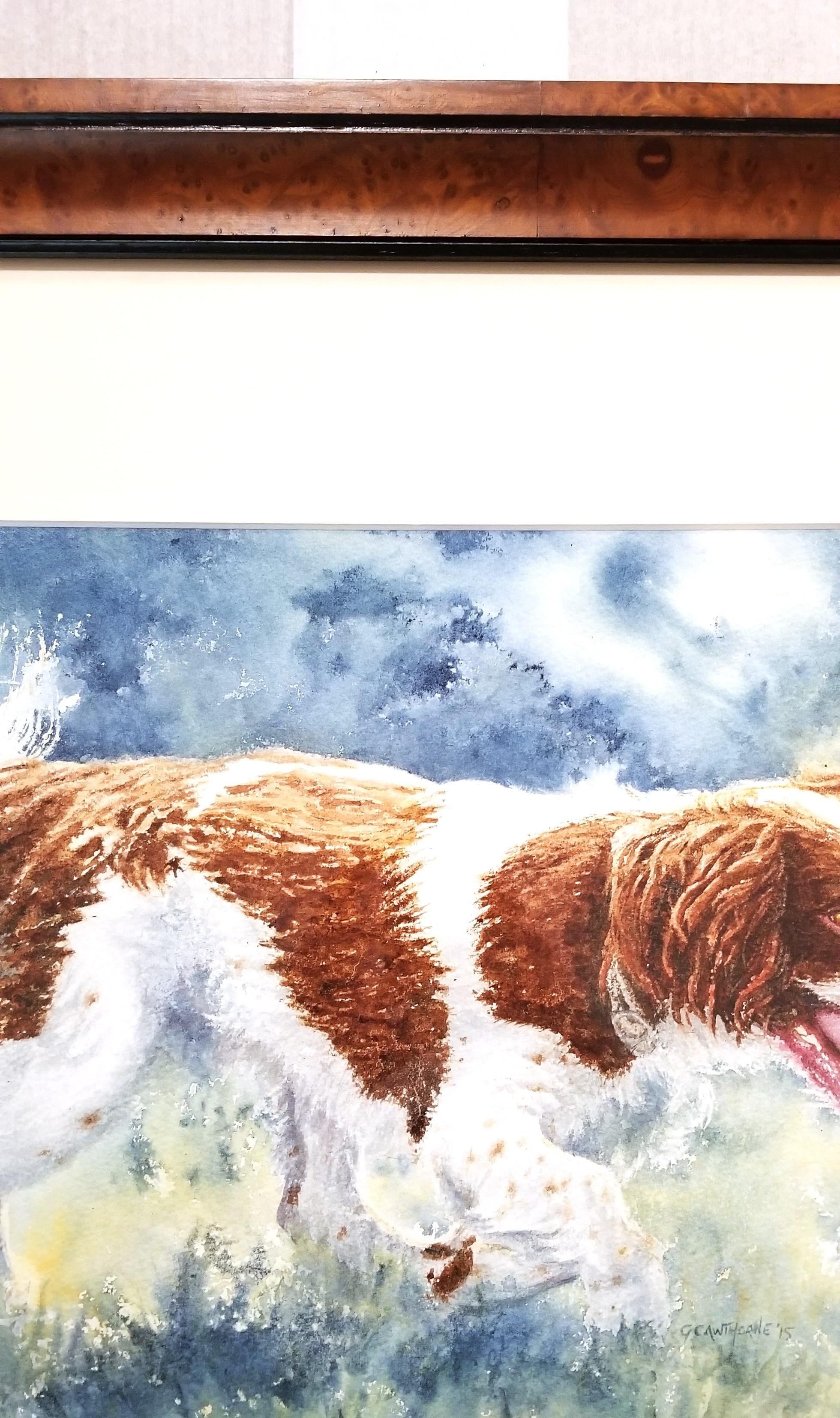 Épagneul enjoué /// Femme artiste britannique contemporaine Aquarelle Chien Animal de compagnie en vente 3