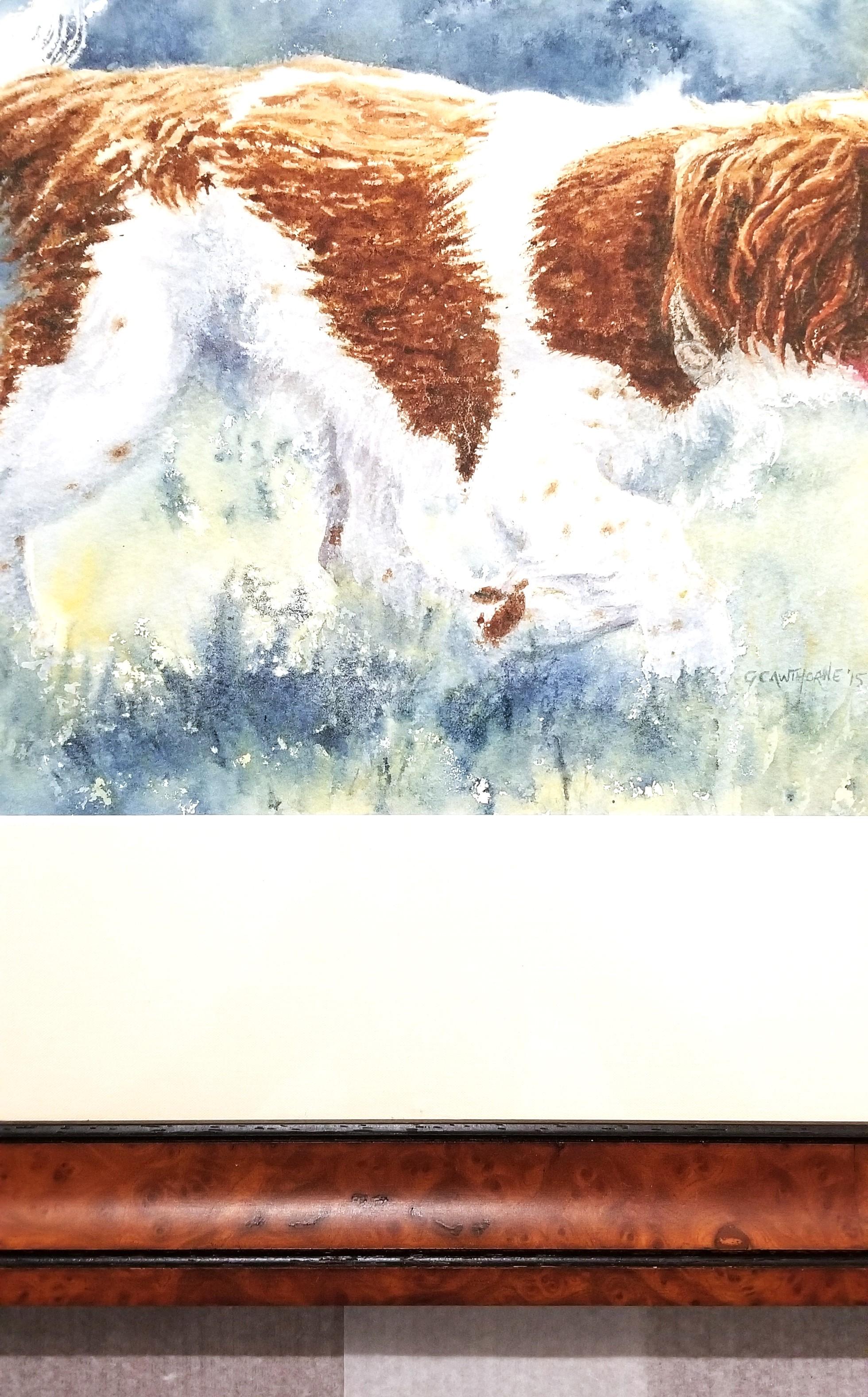 Épagneul enjoué /// Femme artiste britannique contemporaine Aquarelle Chien Animal de compagnie en vente 4