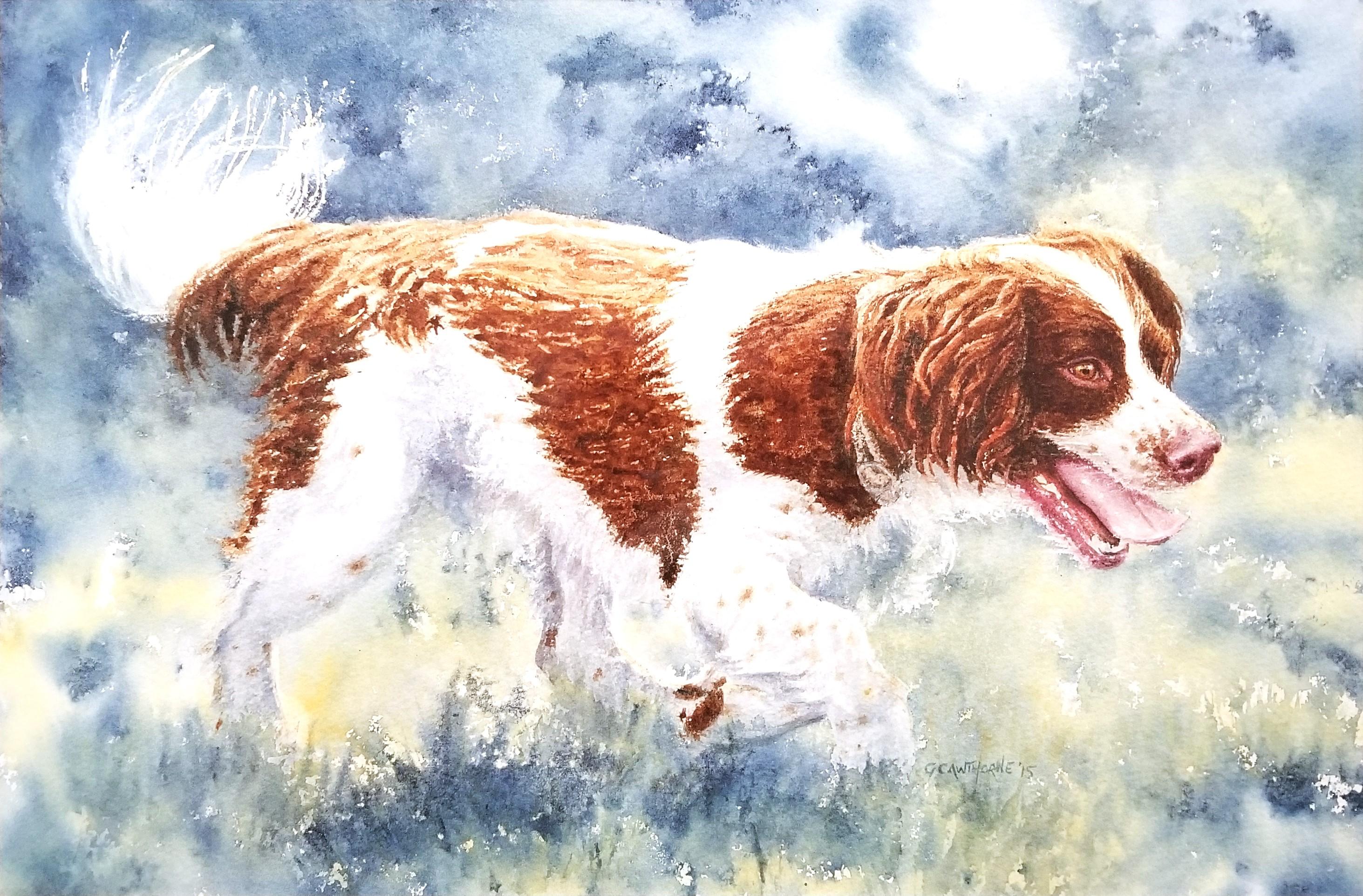 Spaniel desideroso /// Artista britannica contemporanea di sesso femminile Acquerello cane animale domestico