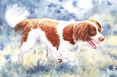 Épagneul enjoué /// Femme artiste britannique contemporaine Aquarelle Chien Animal de compagnie