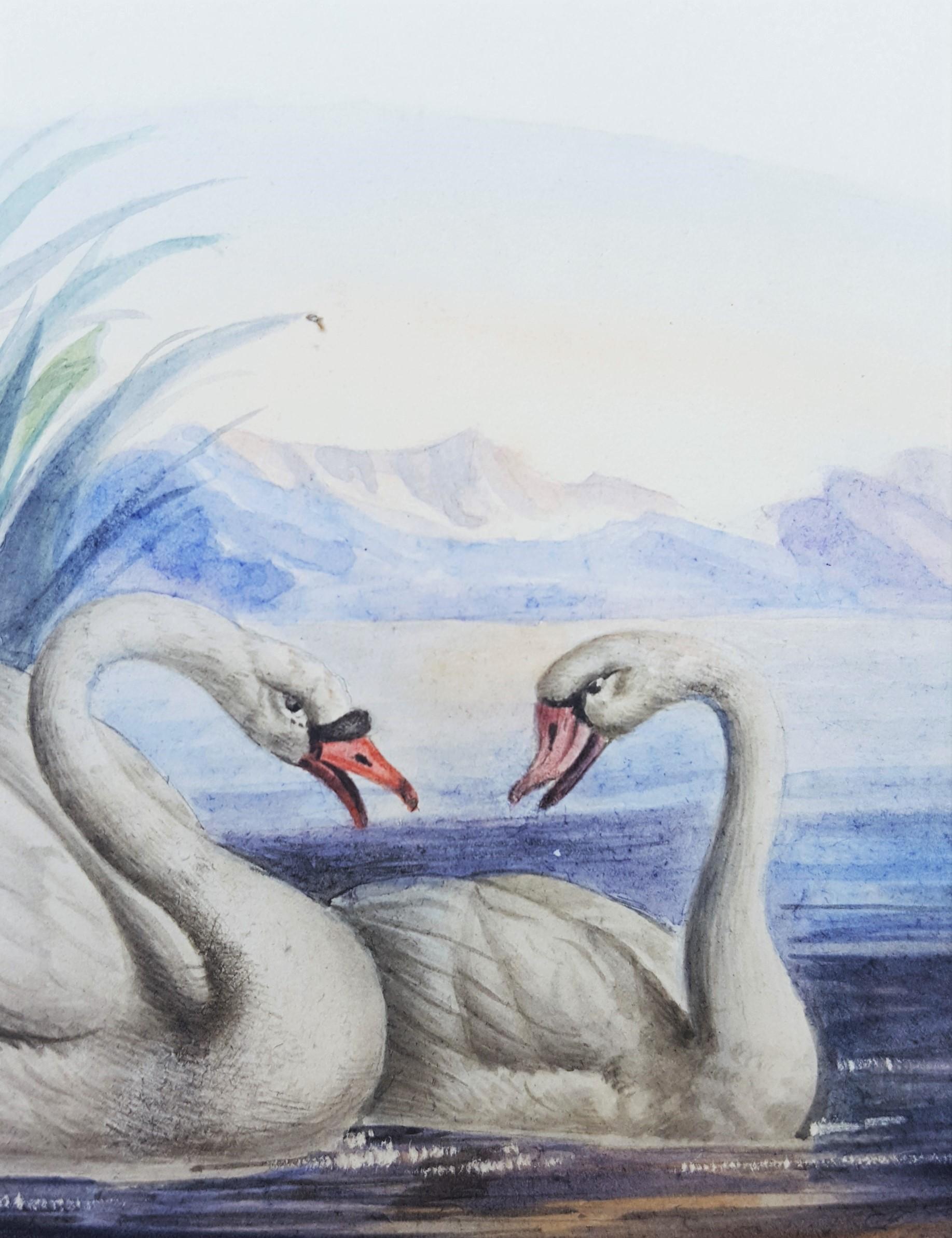 Swans /// Artiste féminine d'antiquités Oiseaux Ornithologie Paysage animal aquarelle en vente 7