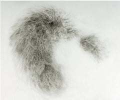 "Biomorphic Form with Appendage" drawing, graphite on vellum paper