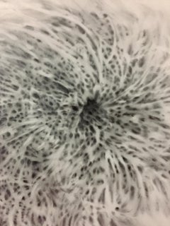 "Biomorphic Form with Appendage" drawing, graphite on vellum paper