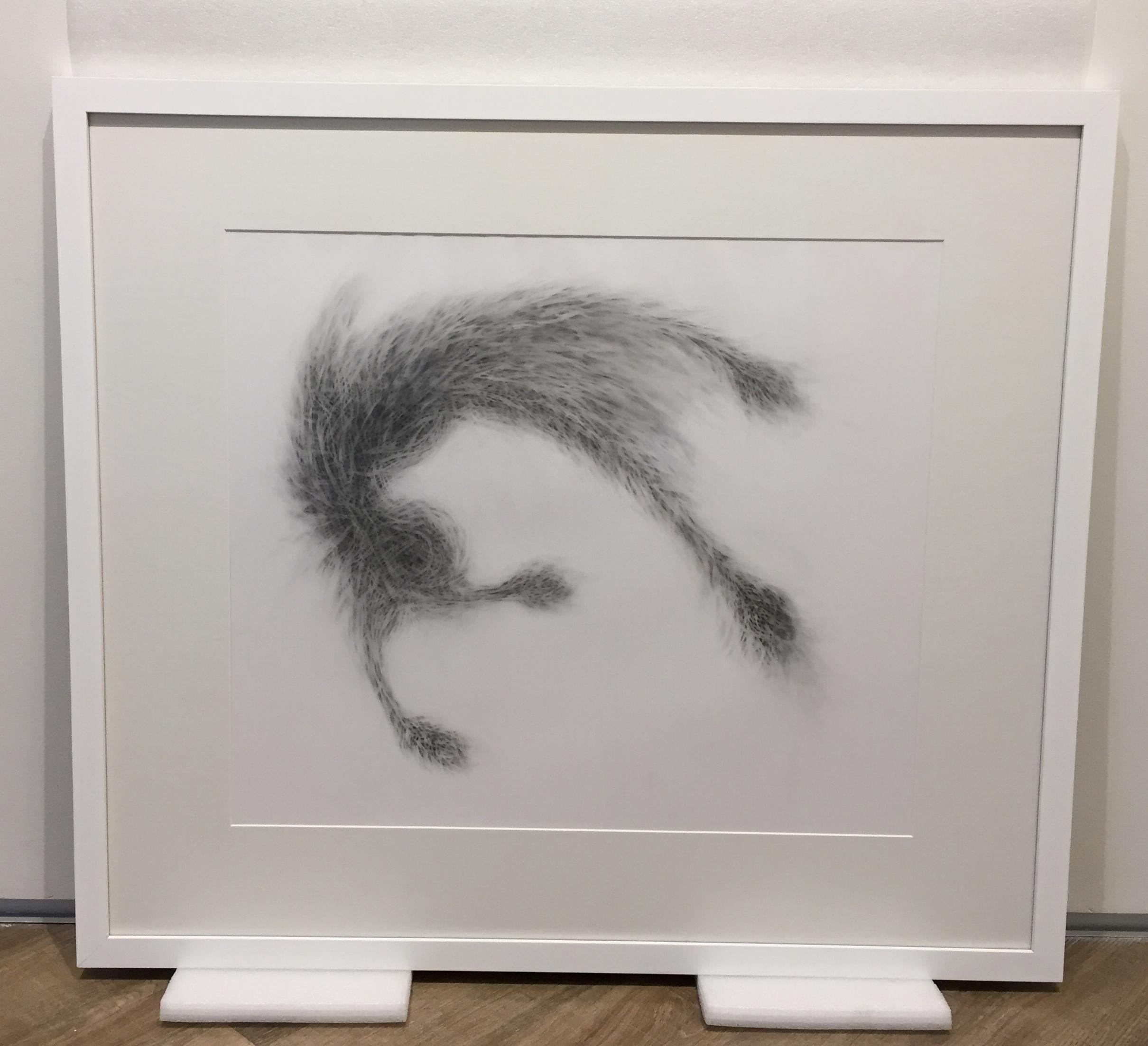 Graphite drawing on vellum paper, based on natural phenomena and mutation.
Framed with archival matting and museum glass.