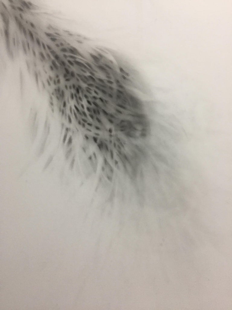 Anne Novado "Biomorphic Spazscattertacular" drawing, graphite on