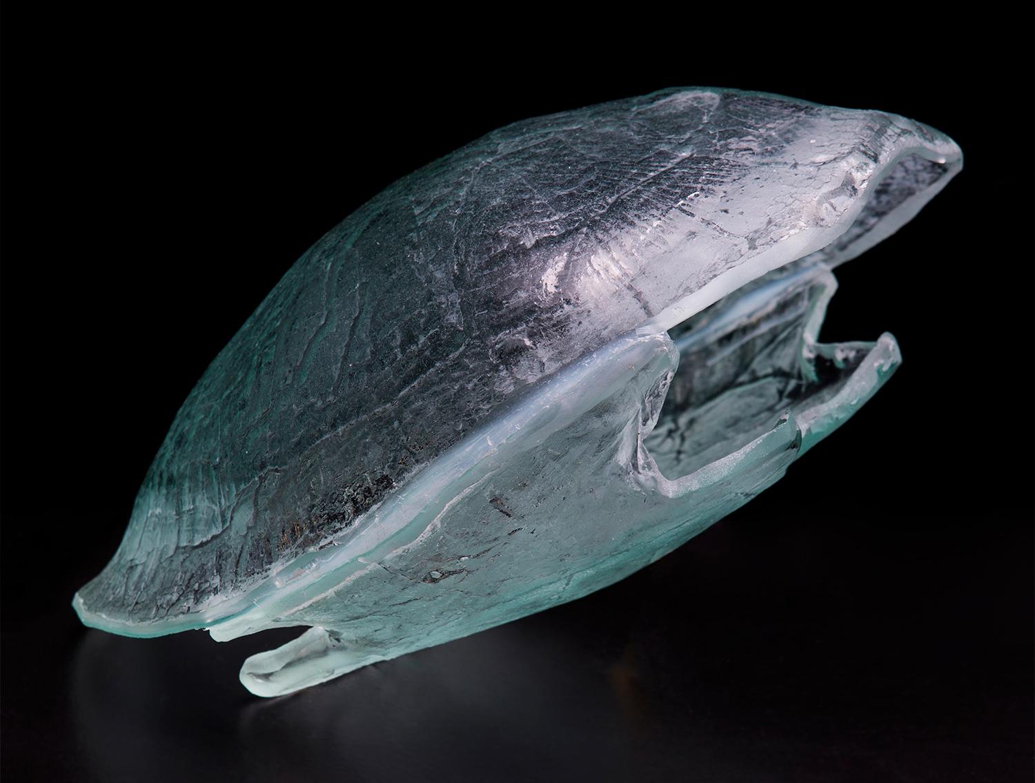 Brian Gustafson Figurative Sculpture - "Glass Turtle"