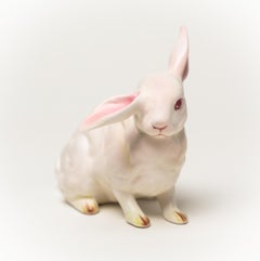 White Rabbit, No. 5