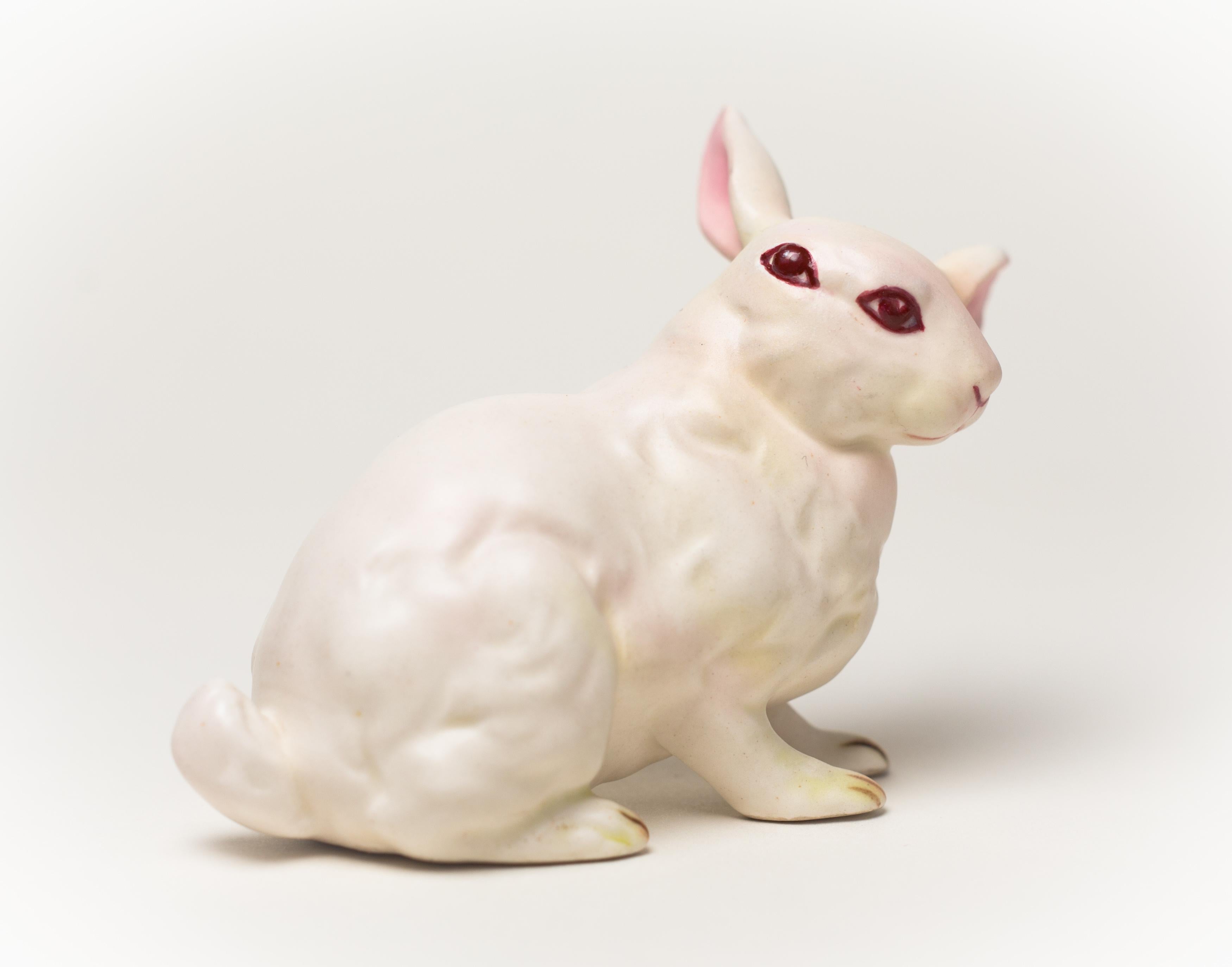 Debra Broz Figurative Sculpture - White Rabbit, No. 12