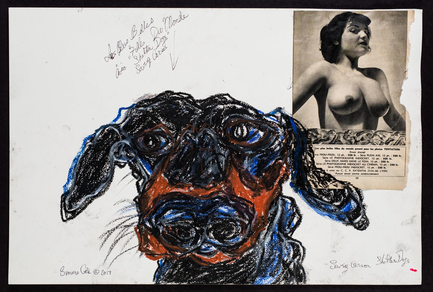 Chien Noir Et Bleufrench Lesbian Series