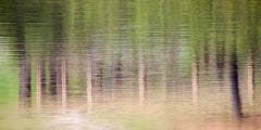Ralph Daher - Sticks (21 x 42") - Album:AQUA - Water Reflections - Contemporary - Abstract Sticks (21 x 42") - Album:AQUA - Water Reflections - Contemporary - Abstract