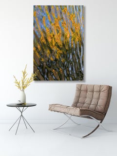 Ray (60 x 40") - Album: AQUA - Water Reflections - Contemporary - Abstract