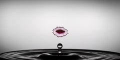 The Speech (42 x 21") - Album: H2O - Water Drops - Contemporary