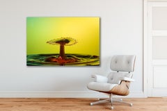Eve's Apple (24 x 36") - Album: H2O - Water Drops - Contemporary
