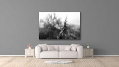 Murder Of The Tree Of Souls (28 x 42") - Album: Tears Of Mother Earth - B&W