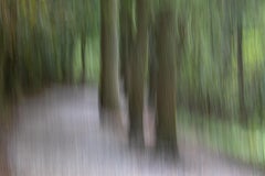 Expressionist Abstract Photography