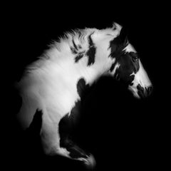 Archival Pigment Portrait Photography
