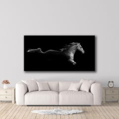 The Black Stallion (36 x 72") - Album: Stallion - Horses