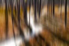 Brown Colour Photography