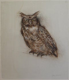 John Alexander, Great Horny Owl, 2008, drawing, charcoal and watercolor on paper