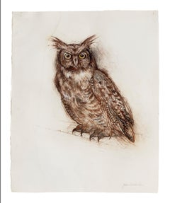 John Alexander, Great Horny Owl, 2008, drawing, charcoal and watercolor on paper