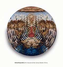 Expanded Botticelli. Ink on Canvas