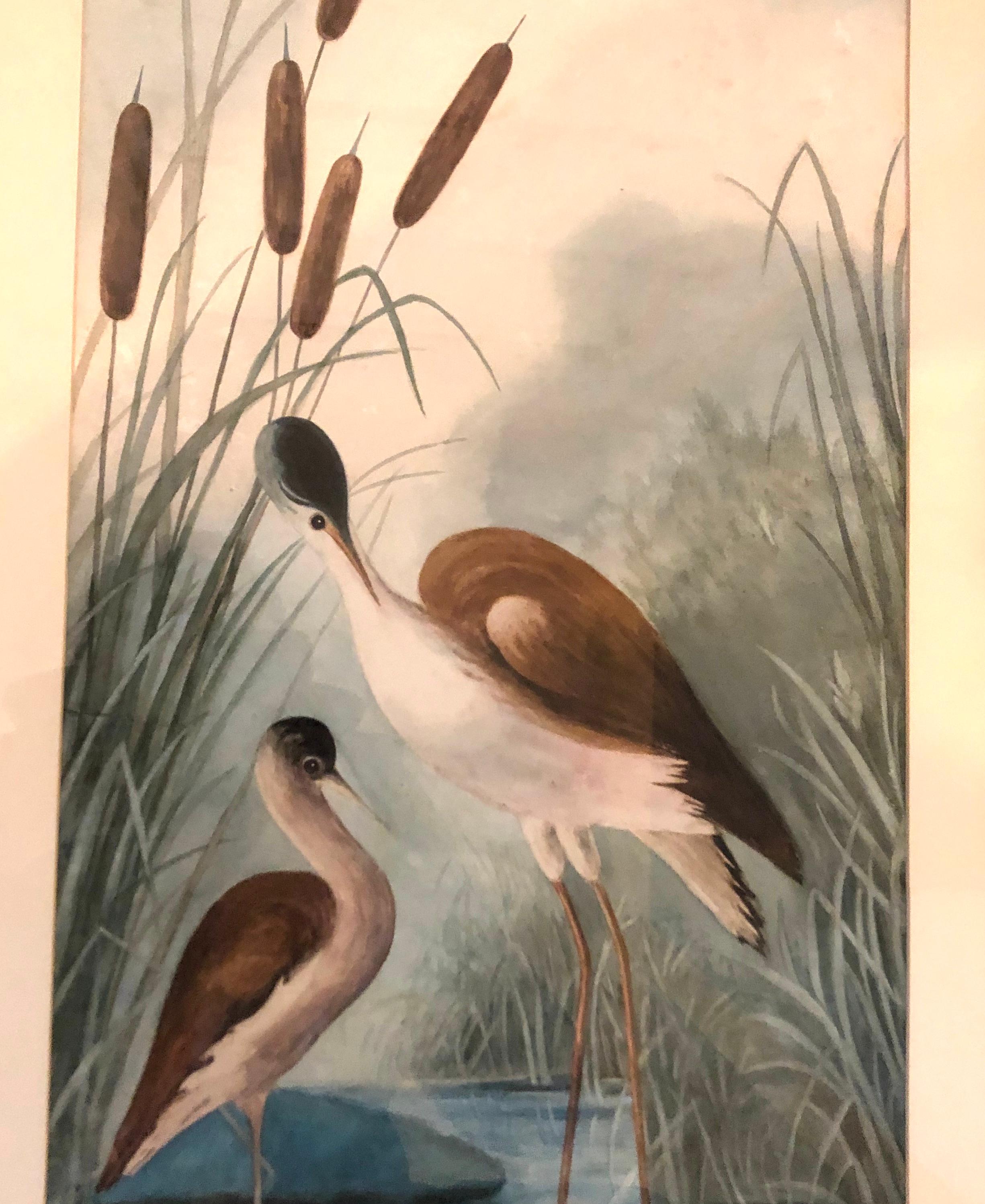 Watercolours follower of James Audubon, Birds,  signed Elsie Scott 1905 - Beige Animal Art by Follower of James Audubon