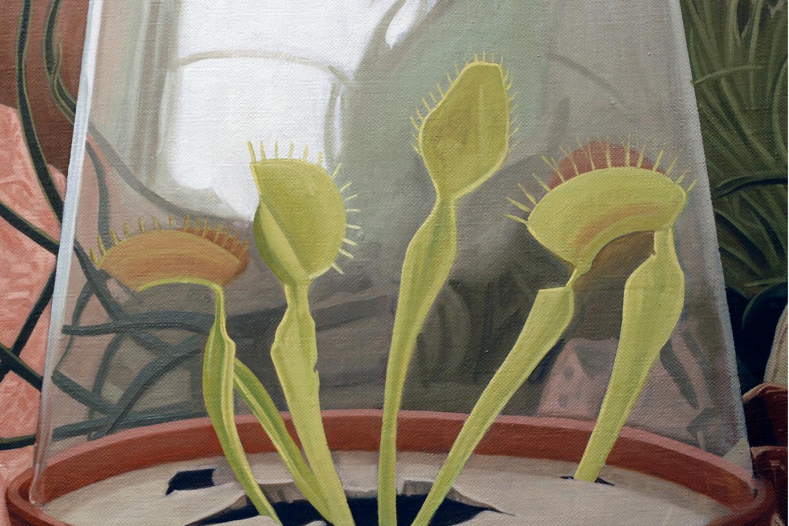 venus flytrap painting