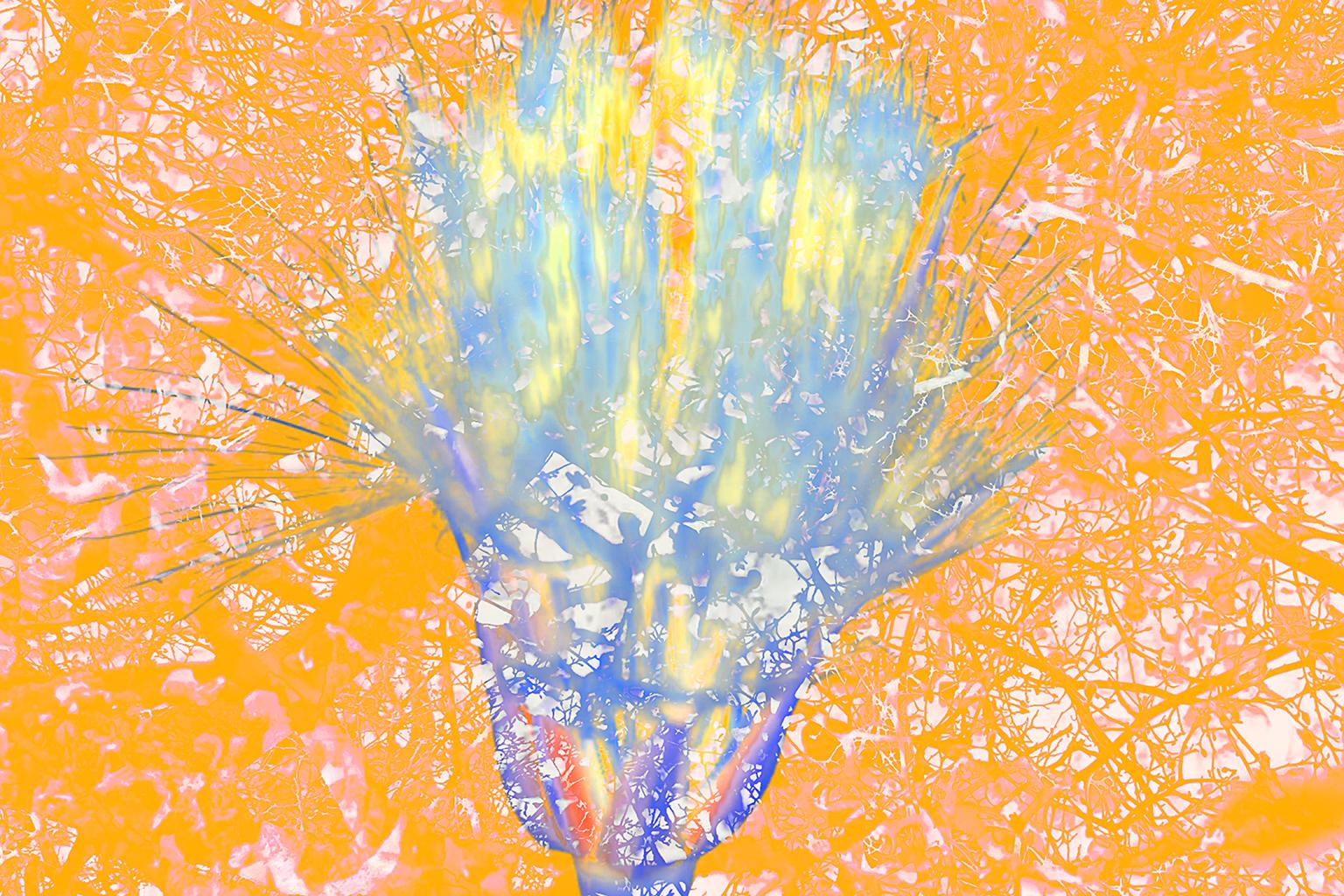 Costas Picadas Abstract Print - Expansion 2, Blue & Orange, Large Love of Life Bio Exploration Acrylic Print