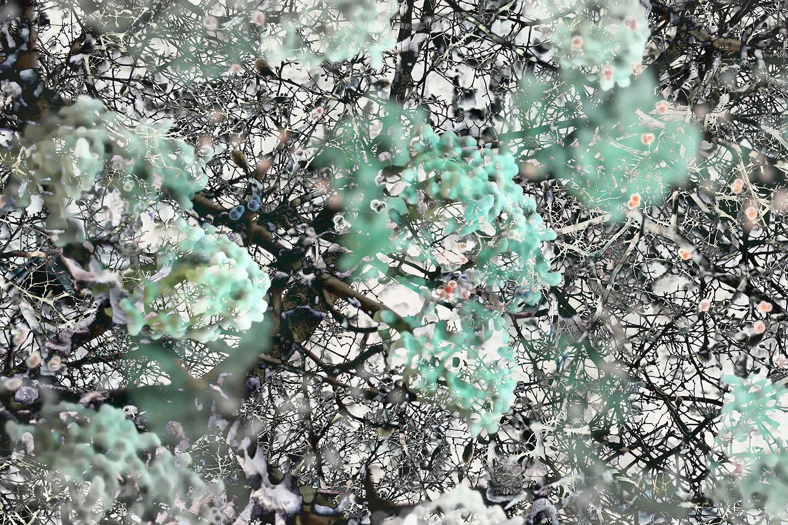 Costas Picadas Abstract Print - Mitosis 1 Moss Green & Black Large Abstract Nature Bio Exploration Acrylic Print