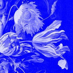 "Vaso di fiori blu" Dopo Jan Davidsz De Heem Fotografia di tulipani