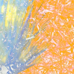 Expansión 2, Azul y Naranja, Impresión acrílica grande Amor a la vida Bioexploración