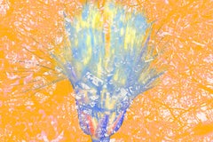Expansión 2 Azul y naranja Extragrande Amor a la vida Bioexploración Impresión acrílica