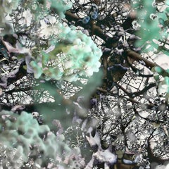 Mitosis 1 Moss Green & Black Large Abstract Nature Bio Exploration Acrylic Print