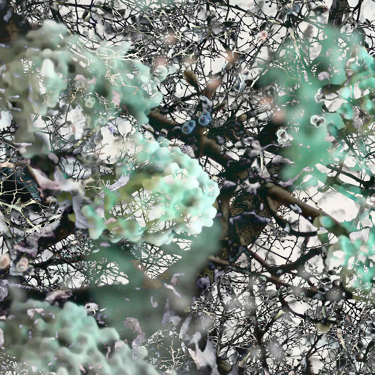 abstract nature prints